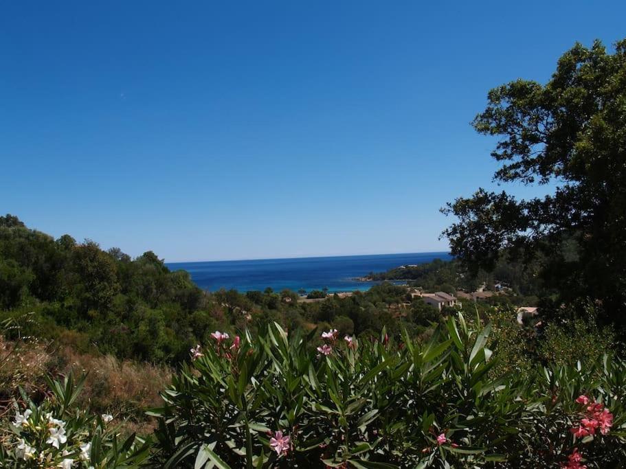 Villa Vista Mare 11 Favone Conca Dış mekan fotoğraf