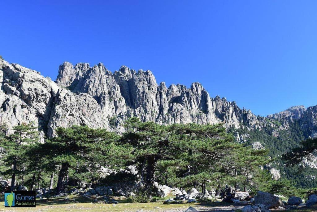 Villa Vista Mare 11 Favone Conca Dış mekan fotoğraf