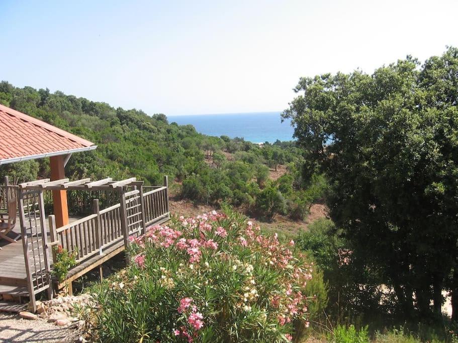 Villa Vista Mare 11 Favone Conca Dış mekan fotoğraf