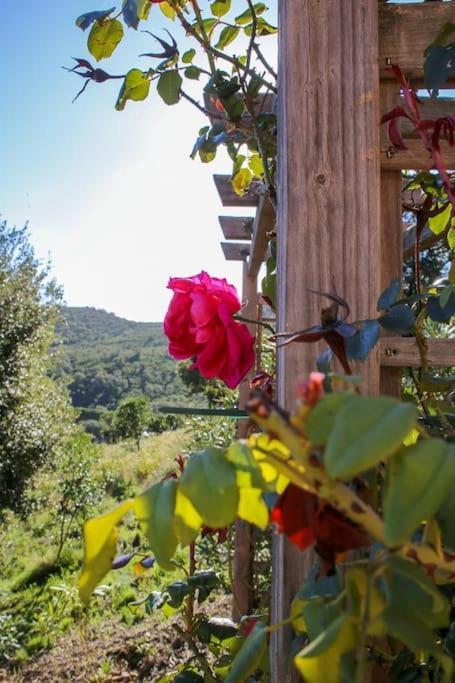 Villa Vista Mare 11 Favone Conca Dış mekan fotoğraf